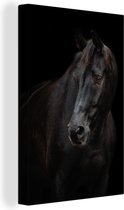 Portrait d'un cheval de sport sur une toile de fond noir 2cm 80x120 cm - Tirage photo sur toile (Décoration murale salon / chambre) / Peintures sur toile Animaux de la ferme