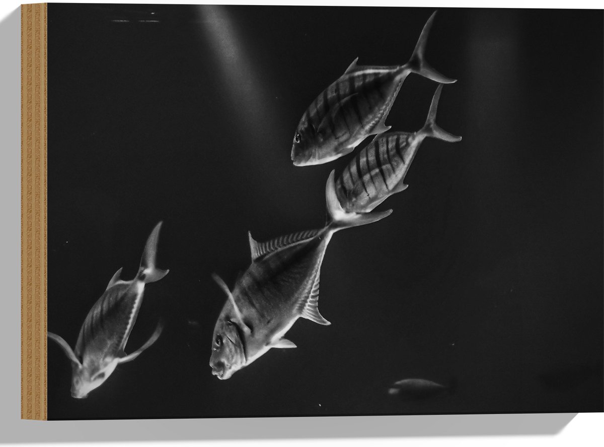 Hout - Vissen in het Aquarium Zwart - Wit - 40x30 cm - 12 mm dik - Foto op Hout (Met Ophangsysteem)
