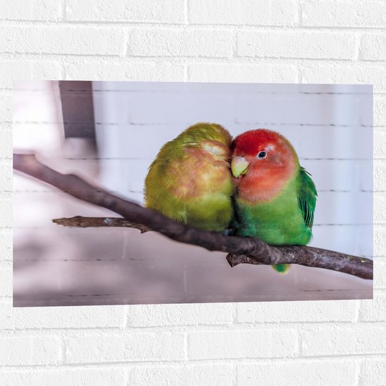 WallClassics - Muursticker - Twee Verliefde Vogeltjes op een Tak - 75x50 cm Foto op Muursticker