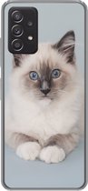 Geschikt voor Samsung Galaxy A53 5G hoesje - Kat - Ragdoll Kat - Blauw - Meisjes - Kinderen - Jongens - Kindje - Siliconen Telefoonhoesje