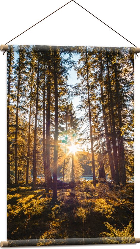 WallClassics - Textielposter - Felle Zon door Dunne Bomen in Bos - 60x90 cm Foto op Textiel