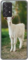 Geschikt voor Samsung Galaxy A33 5G hoesje - Jong - Geit - Gras - Siliconen Telefoonhoesje