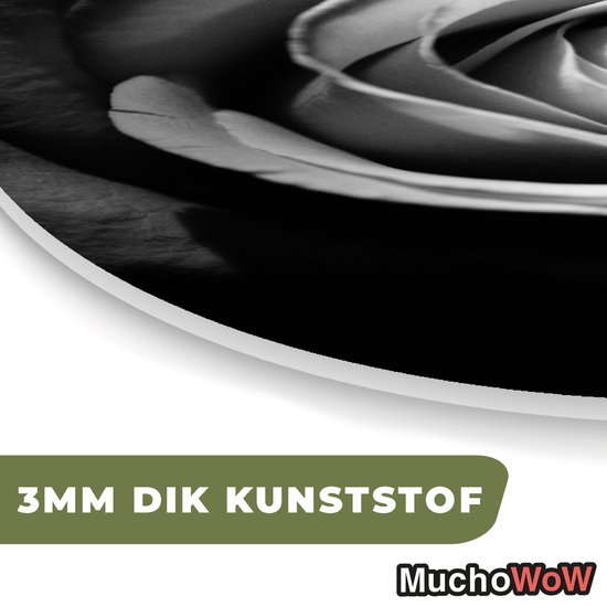 Ovale Mural - Ovale Mural - Décoration murale Murale Plastique - Peinture Ovale - Fleurs - Zwart - Rose - Wit - Botanique - 40x60 cm - Forme miroir ovale sur plastique