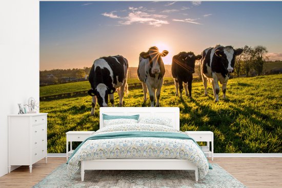 Papier peint photo peint vinyle - Quatre vaches au coucher du soleil largeur 375 cm x hauteur 280 cm - Tirage photo sur papier peint (disponible en 7 tailles)