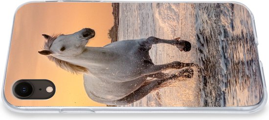 Coque iPhone XR - Paarden - Soleil - Mer - Plage - Animaux - Coque en Siliconen