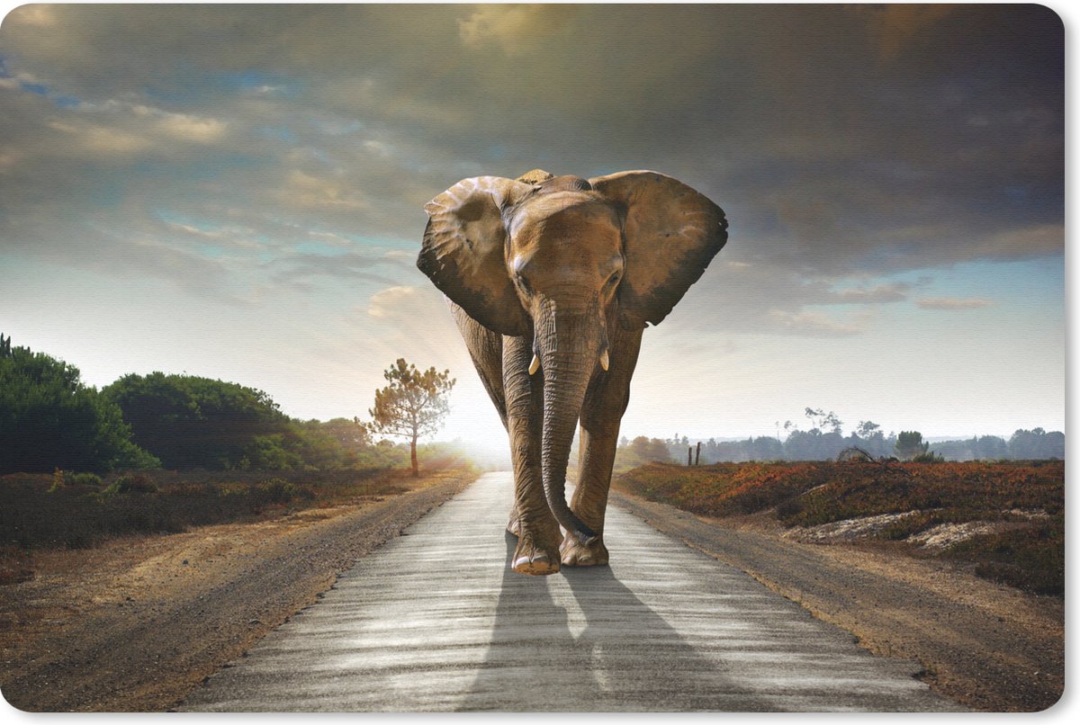 Muismat - Mousepad - Olifant - Weg - Dieren - Zonsondergang - Savanne - Landschap - 60x40 cm - Muismatten