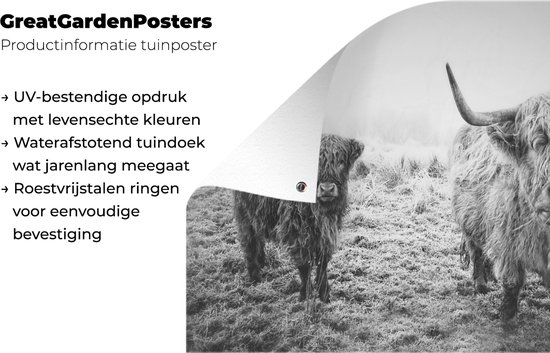 Affiche de jardin - Toile de jardin - Posters de jardin extérieur - Highlanders écossais - Lumière - Air - Nature - 120x80 cm - Jardin