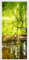 Deursticker Bos - Landschap - Water - Bomen - Zon - Groen - Natuur - 80x205 cm - Deurposter