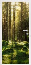 Deursticker Bomen - Bos - Mos - Planten - Zon - Natuur - 75x205 cm - Deurposter