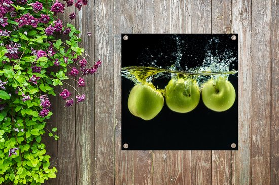 Toile de jardin Pommes - Fruit - Water - Zwart - Vert - 100x100 cm