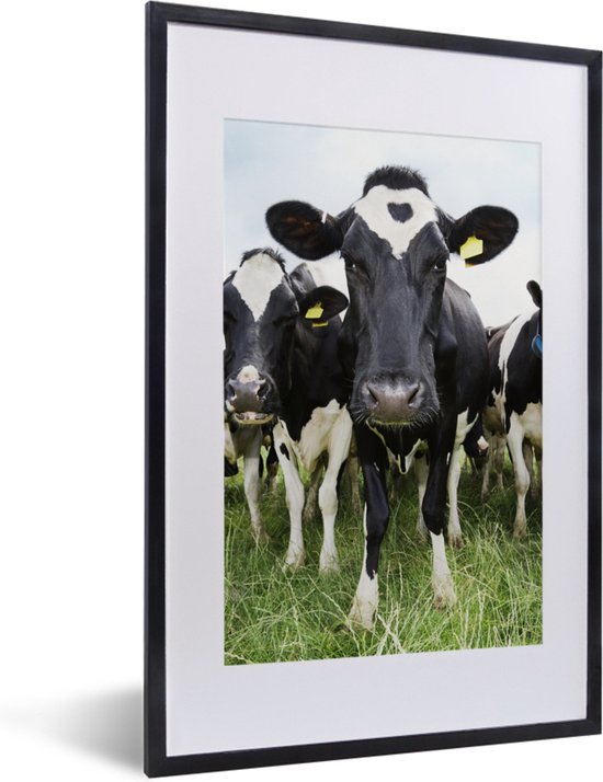 Premium Aluminium Fotolijst voor Diamond Painting – 4 kleuren