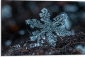 WallClassics - Dibond - Close up van Sneeuwvlok op Aarde - 75x50 cm Foto op Aluminium (Met Ophangsysteem)