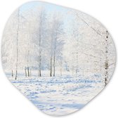 Organische Wanddecoratie - Kunststof Muurdecoratie- Organisch Schilderij - Sneeuw - Bomen - Winter- 60x60 cm - Organische spiegel vorm op kunststof - Kerstdecoratie in huis - Kerstmis