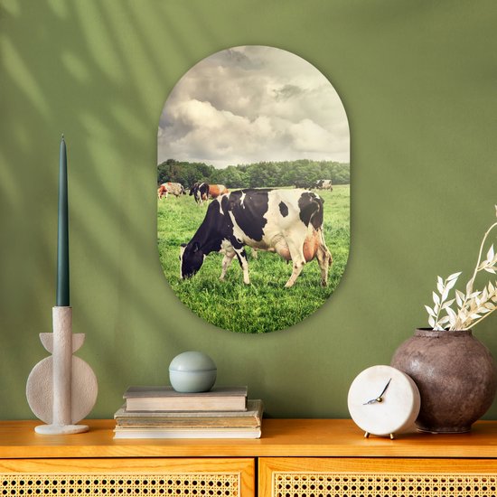 Ovale Mural - Décoration murale Plastique - Tableau Ovale - Vaches - Pâturage - Nature - Animaux - Paysage - 40x60 cm - Miroir ovale sur plastique