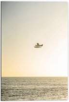 WallClassics - Dibond - Klein Vliegtuig boven het Zeewater - 70x105 cm Foto op Aluminium (Met Ophangsysteem)