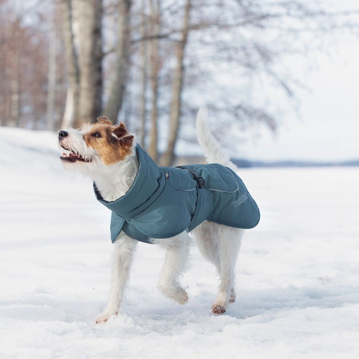 Rukka Ceinture de course pour chien