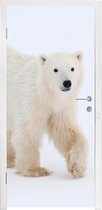 Deursticker IJsbeer - Sneeuw - Wit - 85x215 cm - Deurposter