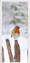 Deursticker Vogel - Hek - Sneeuw - 85x215 cm - Deurposter