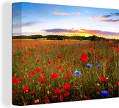 Tableau sur toile Fleurs - Coucher de soleil - Couleurs - 40x30 cm - Décoration murale