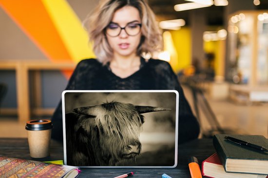 Sticker pour ordinateur portable - 10,1 pouces - Scottish Highlander - Animaux - Cheveux