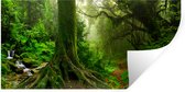 Stickers muraux - Film autocollant - Jungle - Vert - Asie - 80x40 cm - Film adhésif - Stickers muraux muraux Chambre d'enfant - Papier peint autocollant - Papier peint autocollant - Film autocollant