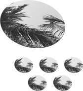 Onderzetters voor glazen - Rond - Palmbladeren - Natuur - Vintage - Palmboom - 10x10 cm - Glasonderzetters - 6 stuks