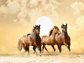 Fotobehangkoning - Behang - Vliesbehang - Fotobehang Rennende Paarden - 200 x 154 cm