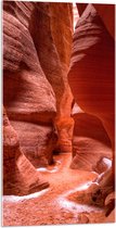 WallClassics - Acrylglas - Ravijnin Antelope Canyon - 50x100 cm Foto op Acrylglas (Met Ophangsysteem)