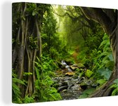 Canvas - Schilderij jungle - Bos - Water - Jungle - Muurdecoratie - Foto op canvas - 80x60 cm