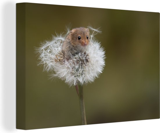 Peintures sur toile - Souris curieuse sur un pissenlit - 60x40 cm - Décoration murale