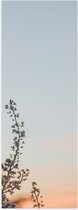 WallClassics - Poster (Mat) - Bloesemtak tegen Heldere Lucht - 20x60 cm Foto op Posterpapier met een Matte look