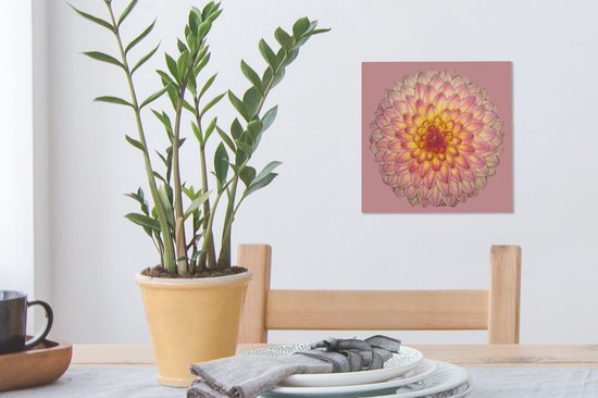 Dahlia 'wootton phoebe toile 20x20 cm - petit - tirage photo sur toile (Décoration murale salon / chambre)