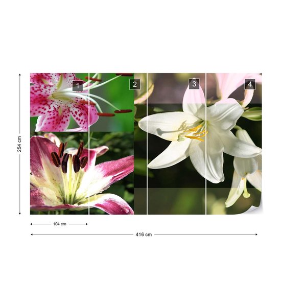 Papier peint Fleurs Lys | XXXL - 416 cm x 254 cm | Polaire 130g / m2