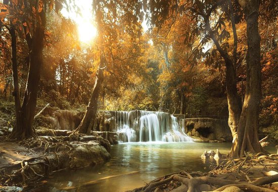 Cascade dans une forêt automnale avec des feuilles orange et la lumière du soleil à travers les arbres.