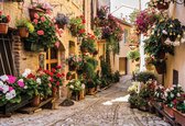 Fotobehang Mediteranean With Flowers | XXL - 312cm x 219cm | 130g/m2 Vlies