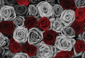 Fotobehang Red Grey Roses Flowers Vintage | XL - 208cm x 146cm | 130g/m2 Vlies