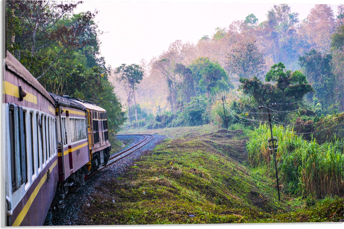 WallClassics - Acrylglas - Thaise Trein door Groen Natuurgebied in Thailand - 60x40 cm Foto op Acrylglas (Wanddecoratie op Acrylaat)