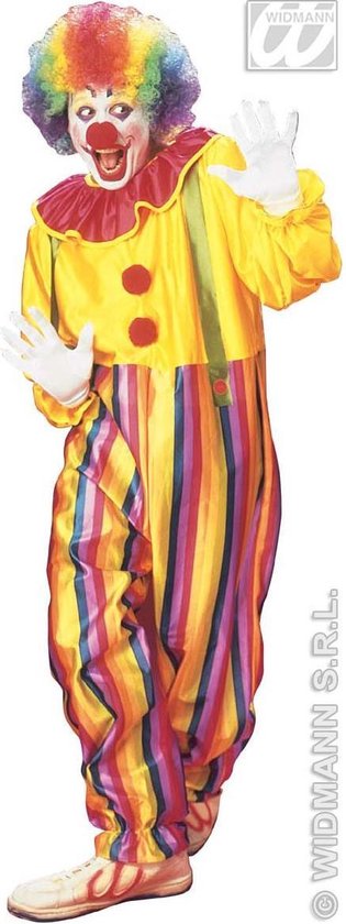 Clown & Nar Kostuum | Funny Clown Circus Kostuum Man | Large | Carnaval kostuum | Verkleedkleding