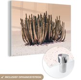 MuchoWow® Glasschilderij 120x80 cm - Schilderij acrylglas - Cactus - Plant - Natuur - Groen - Foto op glas - Schilderijen