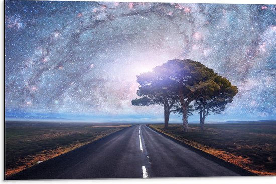 Une route traversant une plaine sous un ciel étoilé de la Voie Lactée, avec deux arbres sur la droite.