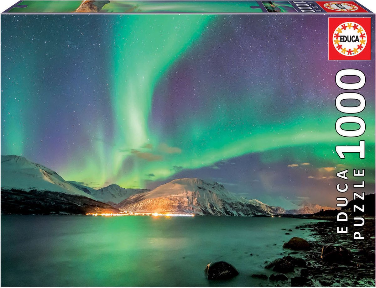 EDUCA - puzzel - 1000 stuks - BOREAL AURORA