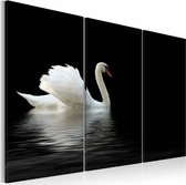 Schilderij - Eenzame witte zwaan ,  zwart , 3 luik