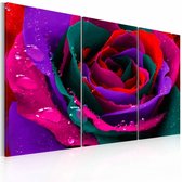 Schilderij - Regenboog kleurige roos , bloem , 3 luik