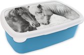 Broodtrommel Blauw - Lunchbox - Brooddoos - Paarden - Dieren - Zwart wit - Natuur - 18x12x6 cm - Kinderen - Jongen