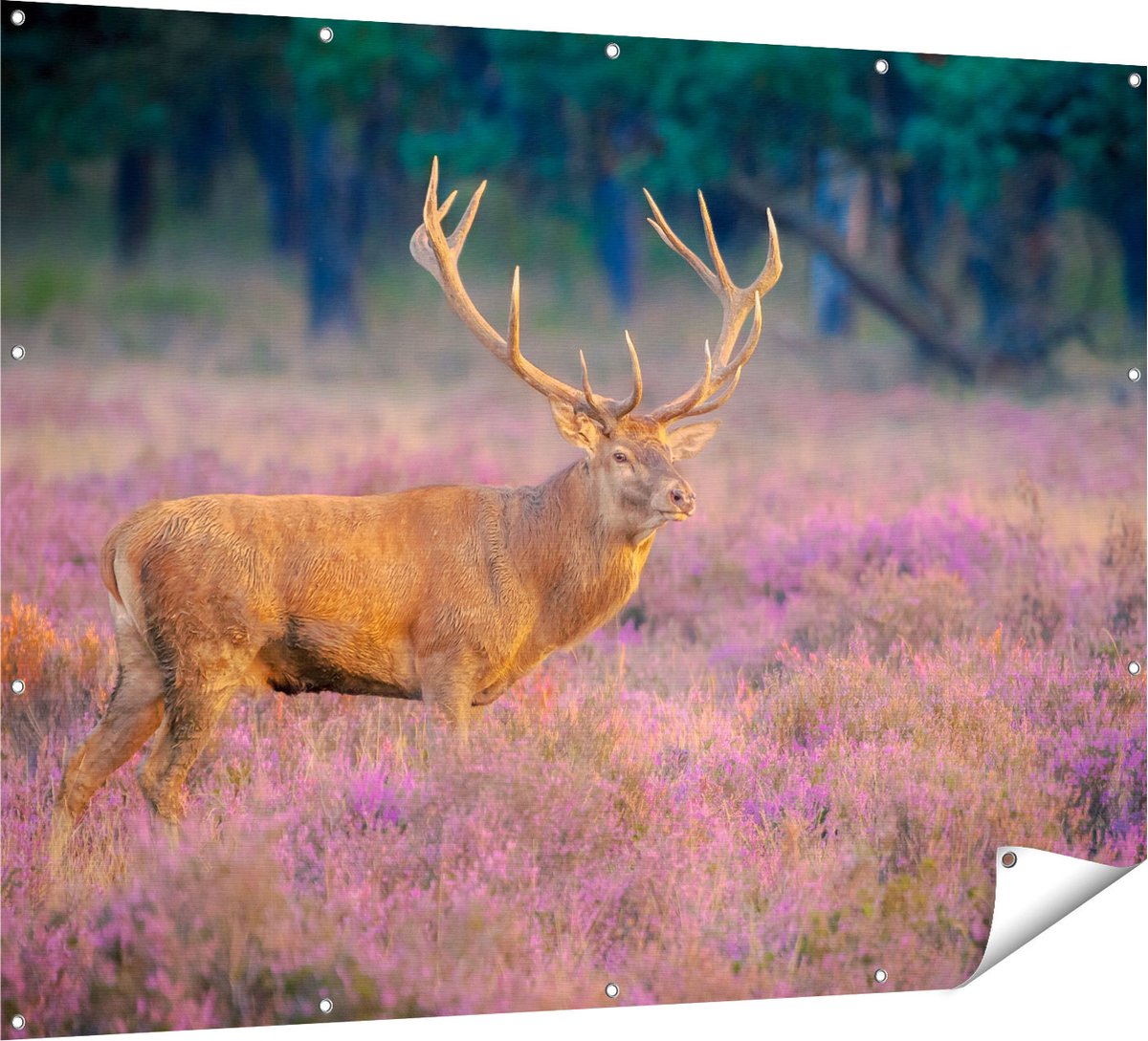 Gards Tuinposter Hert in de Weide tijdens Zonsondergang - 160x120 cm - Tuindoek - Tuindecoratie - Wanddecoratie buiten - Tuinschilderij Multikleur
