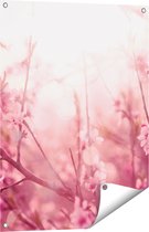 Gards Tuinposter Roze Bloesemboom met Zonneschijn - 60x80 cm - Tuindoek - Tuindecoratie - Wanddecoratie buiten - Tuinschilderij