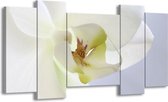 GroepArt - Schilderij - Orchidee - Wit, Geel, Groen - 120x65 5Luik - Foto Op Canvas - GroepArt 6000+ Schilderijen 0p Canvas Art Collectie - Wanddecoratie