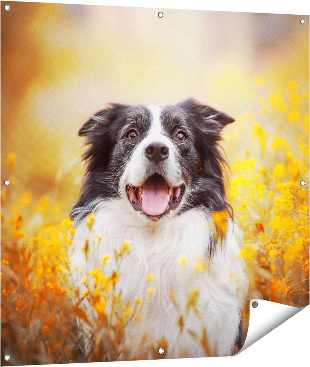 Gards Tuinposter Blije Hond tussen de Bloemen - 100x100 cm - Tuindoek - Tuindecoratie - Wanddecoratie buiten - Tuinschilderij Multikleur