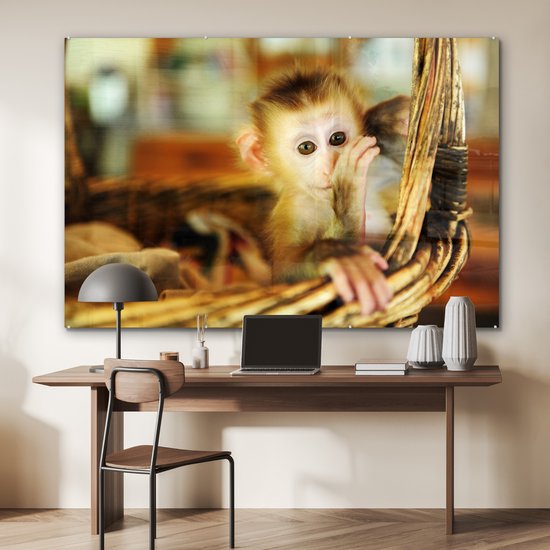 ® Glasschilderij 180x120 cm - Schilderij acrylglas - Baby aap in een rieten mand - Jongen - Kind - Meisjes - Kinderen - Foto op glas - Muurdecoratie woonkamer - Wanddecoratie slaapkamer - Schilderijen