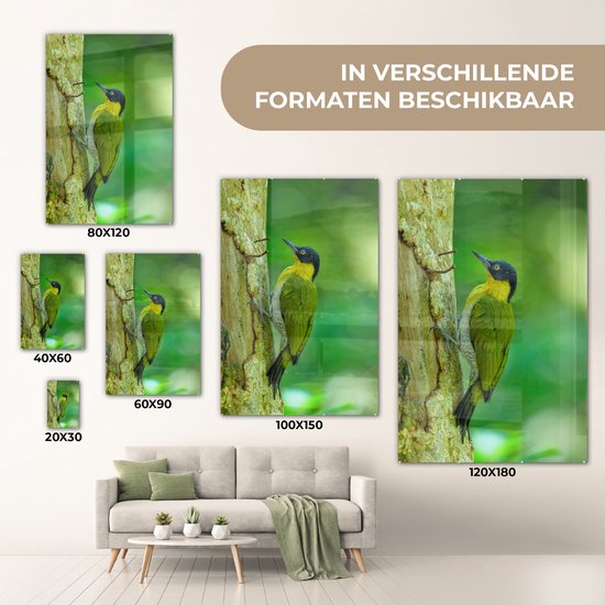 MuchoWow® Peinture sur verre 100x150 cm - Peinture sur verre acrylique - Un beau pic terrestre à fourrure jaune grimpe verticalement sur un arbre - Photo sur verre - Peintures